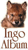 Ingo Album